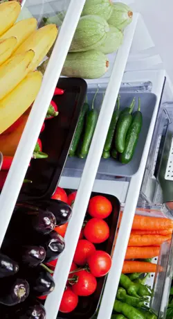 Refrigeration profiles in home appliances